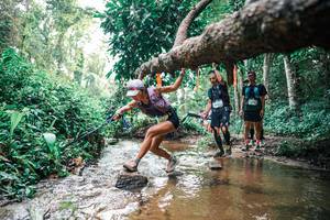 BIB: 
                            <button type="button" onclick="openModal(25369838)" class="btn btn-primary btn-sm float-right btn-popup" data-toggle="modal" data-target=".modal-high-quality">
                        <i class="fas fa-shopping-cart"></i> Add to Cart
                    </button>
                                            <button type="button" onclick="isThisMe(25369838, true)" class="btn btn-success btn-sm float-right btn-popup btn-isme hidden" data-toggle="tooltip" data-placement="bottom" title="นี่คือรูปของคุณใช่ไหม คลิกที่นี่เพื่อเอาเข้าอัลบั้ม">
                        <i class="fas fa-plus"></i> Add to album
                    </button>
                    <button type="button" onclick="isThisMe(25369838, false)" class="btn btn-warning btn-sm float-right btn-popup btn-isnotme hidden">
                        <i class="fas fa-ban"></i> Remove from album
                    </button>